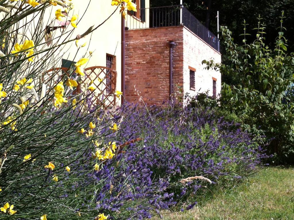 B&B Cal Torello Urbino Bagian luar foto